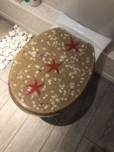 toilet seat in bathroom